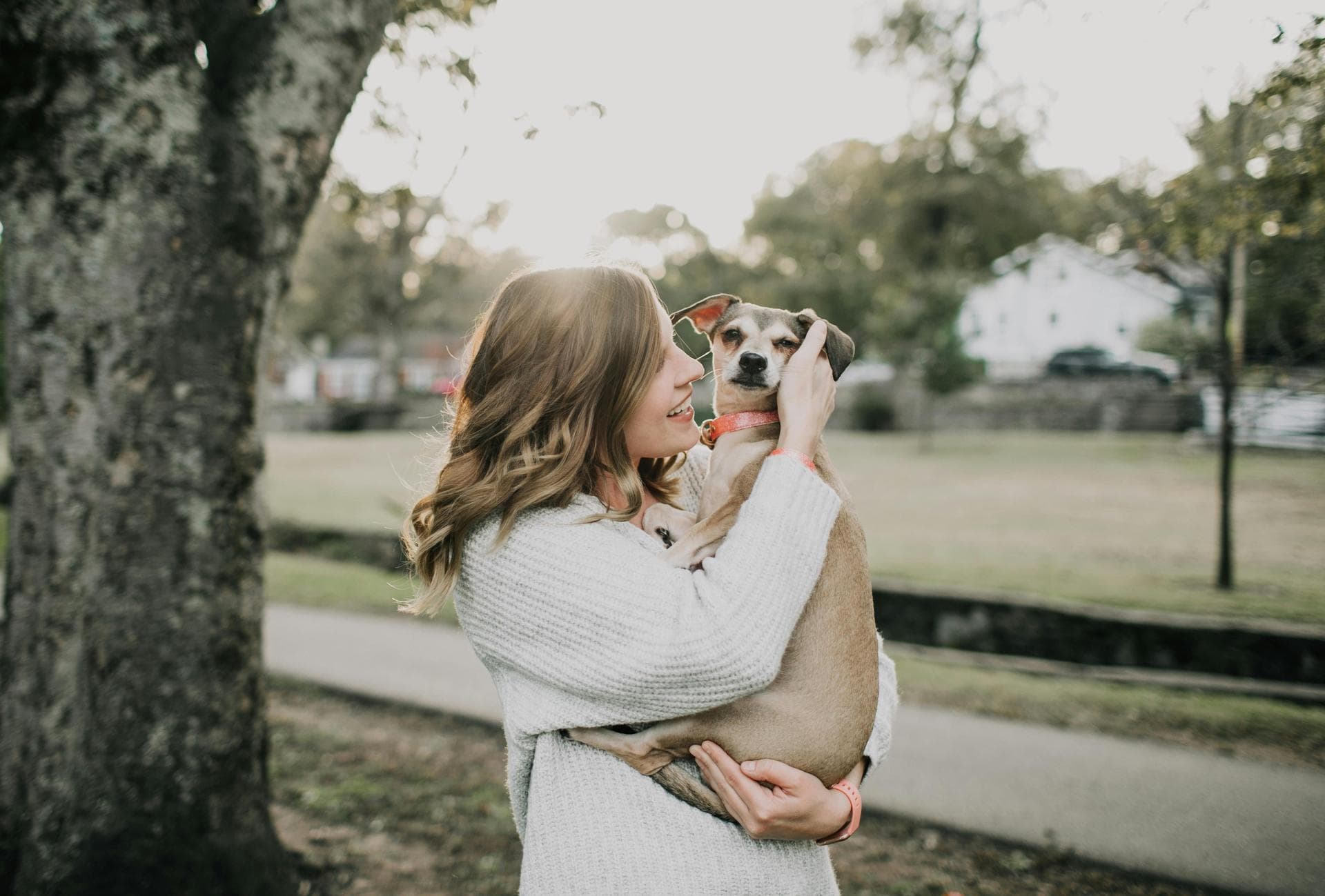 Annual Vaccination With Kennel Cough Prices in St Helens