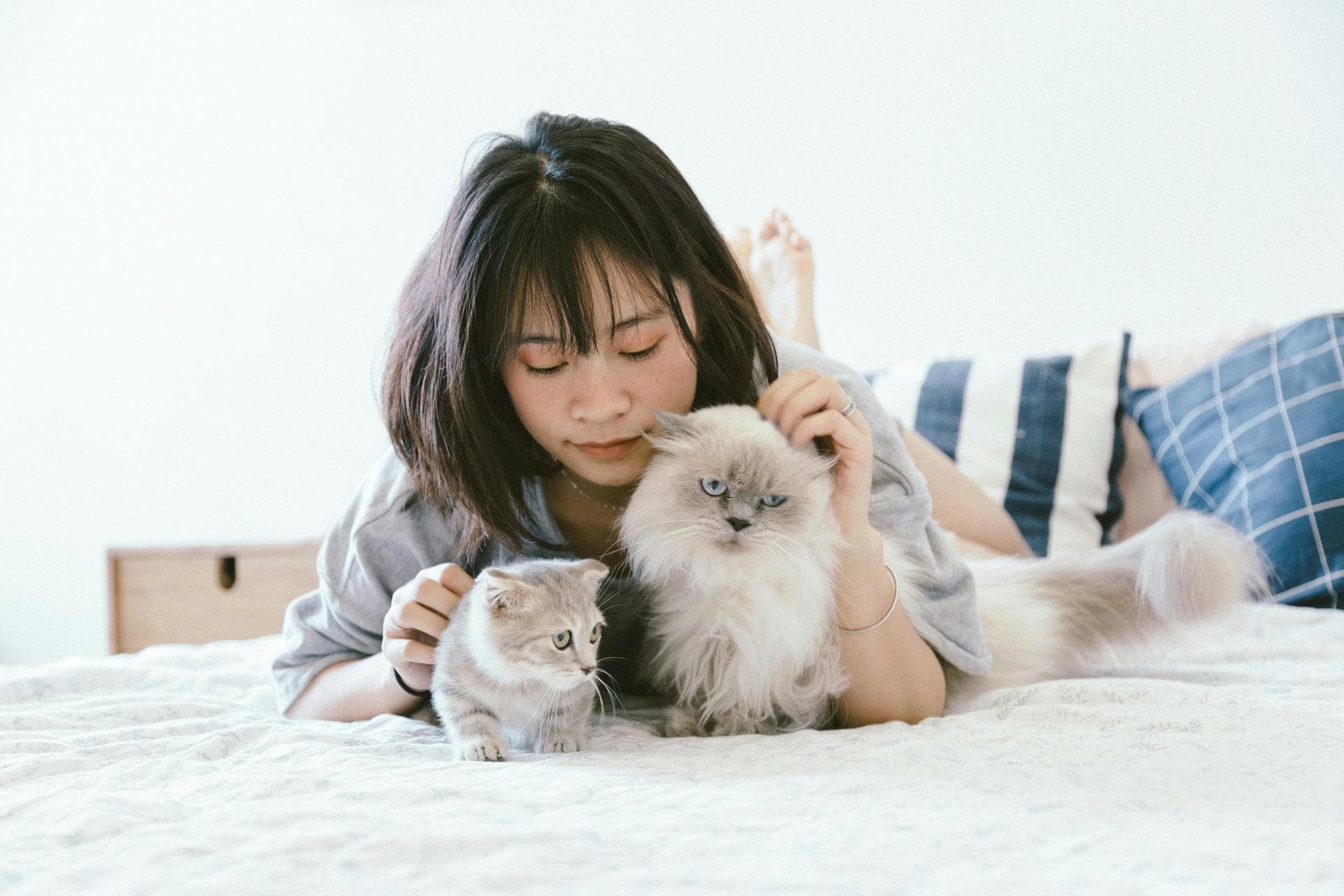 Annual Vaccination With Kennel Cough Prices in St Helens